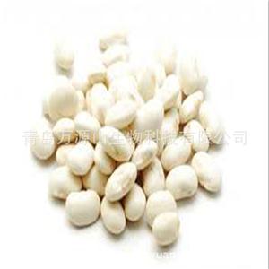 白芸豆提取物,White Kidney Bean Extract