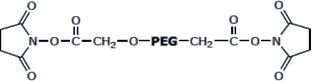 SCM-PEG-SCM,PEG (Succinimidyl Carboxymethyl Ester)2