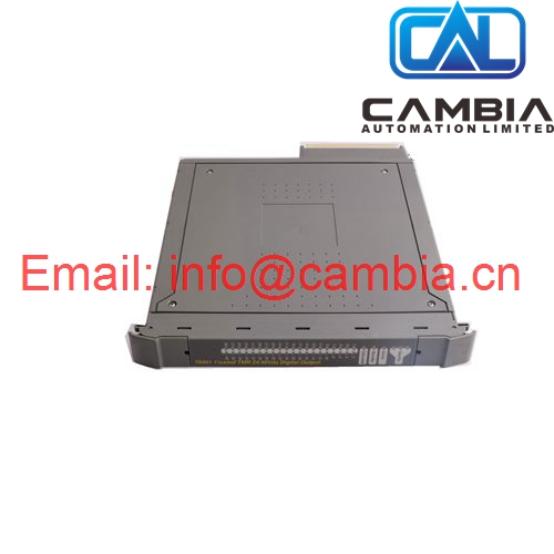 ICS TRIPLEX T8431,ICS TRIPLEX T8431