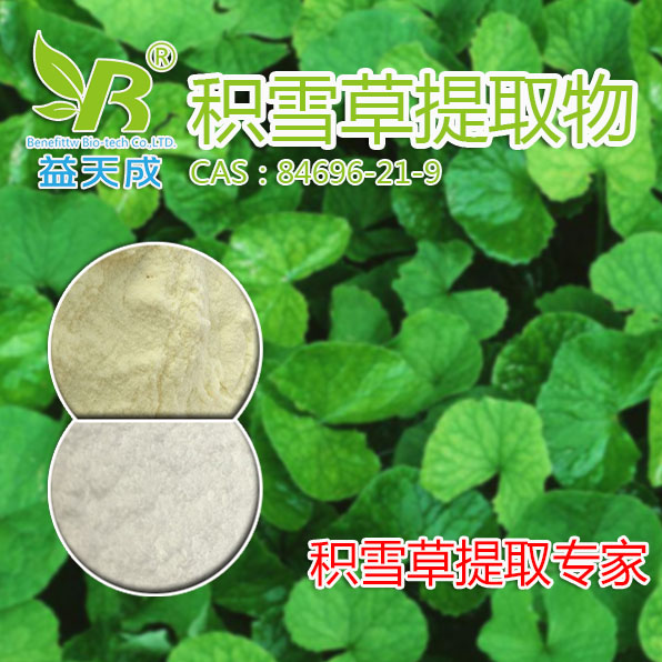 积雪草提取物,Centella Asiatica Extract