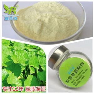 积雪草提取物,Centella Asiatica Extract