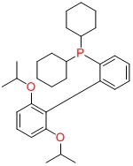 2-二环己基磷-2',6'-二异丙氧基-1,1'-联苯,RuPhos / 2-Dicyclohexylphosphino-2',6'-di-i-propoxy-1,1'-biphenyl