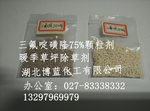 三氟啶磺隆钠盐,sanfudinghuanglong