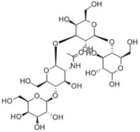 乳糖-N-新四糖,Lacto-N-neotetraose