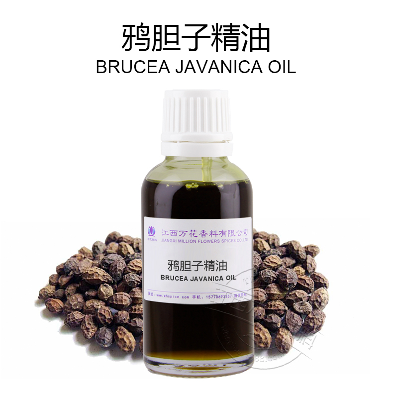 鴉膽子油,Brucea javanica Oil