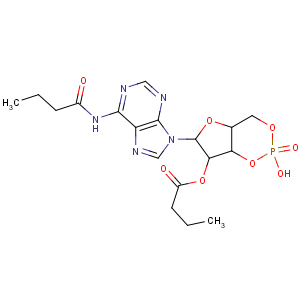 二丁酰环磷腺苷钠,Adenosine,N-(1-oxobutyl)-, cyclic 3',5'-(hydrogen phosphate) 2'-butanoate