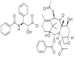 紫杉醇,paclitaxel