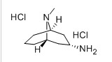 内向-9-甲基-9-氮杂双环[3,3,1]壬烷-3-胺盐酸盐；高托品烷胺盐酸盐,Endo-3-amine-9-methyl-9-azabicyclo[3,3,1]nonane dihydrochloride