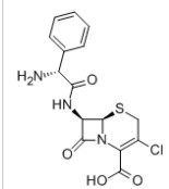 頭孢克洛,Cefaclor