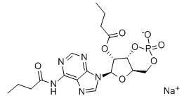 二丁酰环磷腺苷钠,Bucladesine
