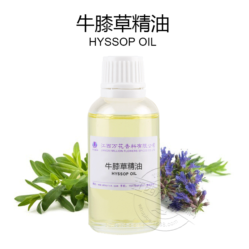 牛膝草精油,Hyssop Oil