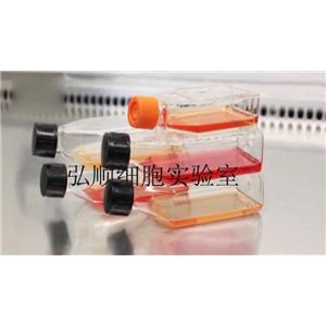 HSPC-1|人造血干细胞