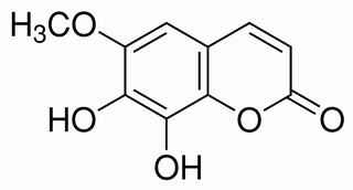 秦皮素,fraxeto