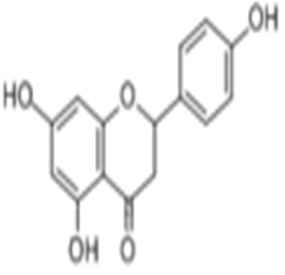 柚皮素,Naringenin