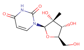 2'-碳-甲基-尿苷,2'-C-Methyluridine