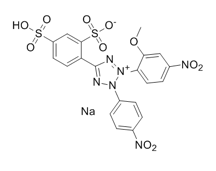 WST-8试剂盒，2-(2-甲氧基-4-硝苯基)-3-(4-硝苯基)-5-(2,4-二磺基苯)-2H-四唑单钠盐,WST-8