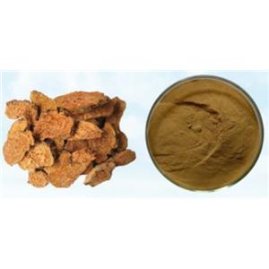 肉苁蓉提取物(松果菊苷&毛蕊花糖苷),Herbal Cistanches Extract