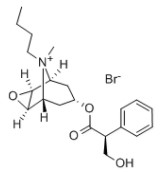 丁溴东莨菪碱,Butylscopolamine bromide