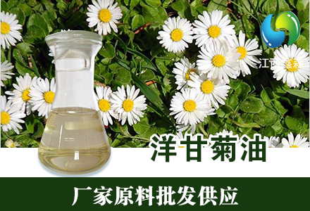 洋甘菊油,Chamomile Oil