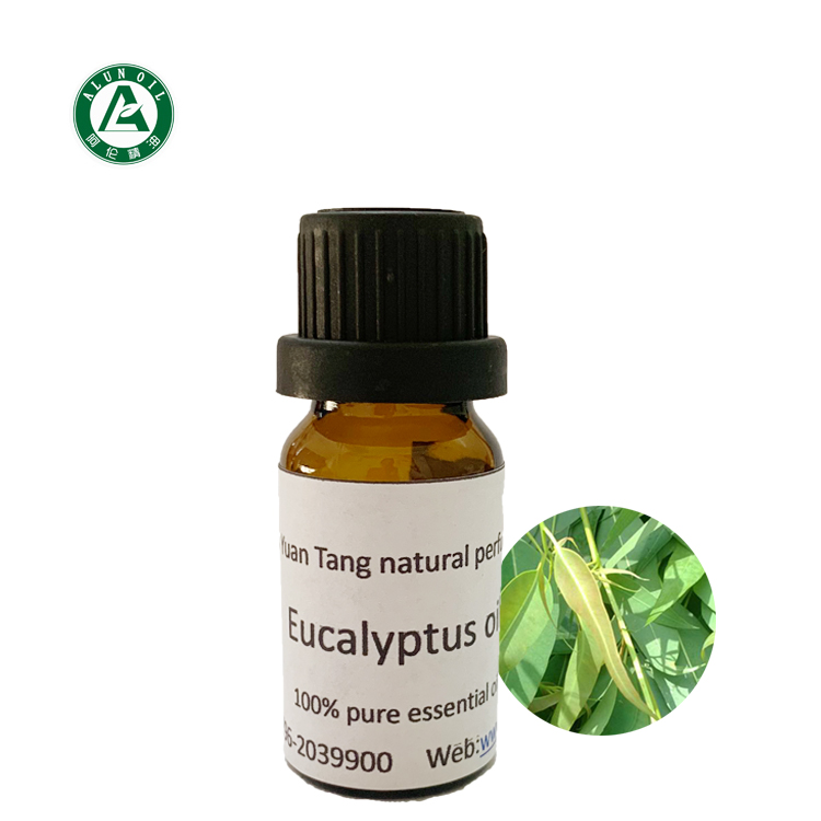 桉葉油,Eucalyptus oil