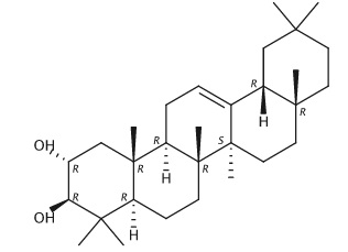 2α,3β-二羟基齐墩果烷-12-烯