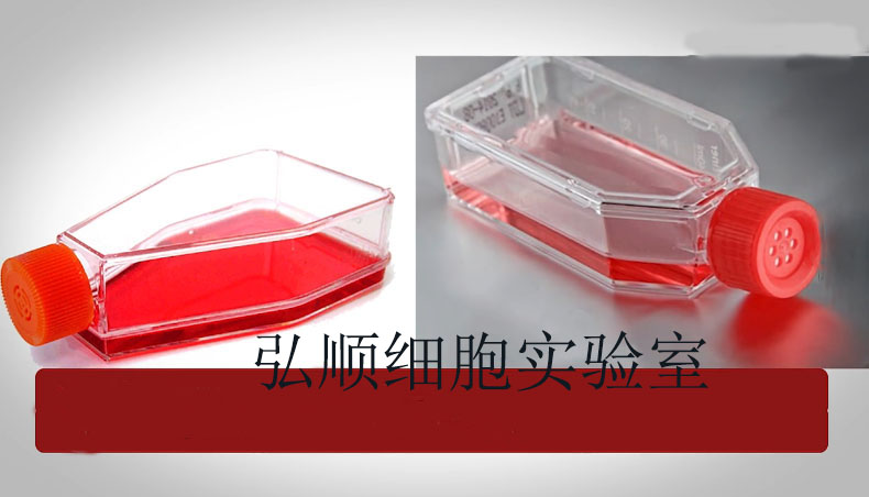 NCI-H1435 Cell<人非小细胞肺癌细胞系>,NCI-H1435 Cell