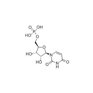 Uridine 5′-monophosphate