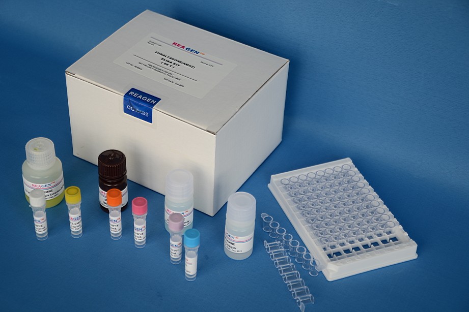 人皮肤T细胞虏获趋化因子(CTACK/CCL27)ELISA试剂盒,Human cutaneous T cell-attracting chemokine, CTACK Elisa Kit