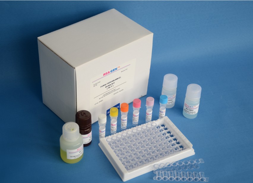 人免疫球蛋白A Fc段受體Ⅰ(FcαRⅠ/CD89)ELISA試劑,Human Receptor Ⅰ for the Fc region of immunoglobulin A, FcαRⅠ Elisa Kit