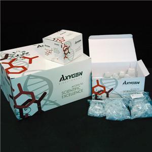 人心钠肽(ANP)酶联免疫试剂盒