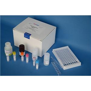 人皮肤T细胞虏获趋化因子(CTACK/CCL27)ELISA试剂盒