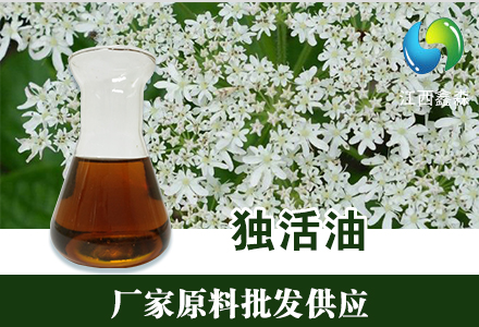 独活油,Lovage Oil