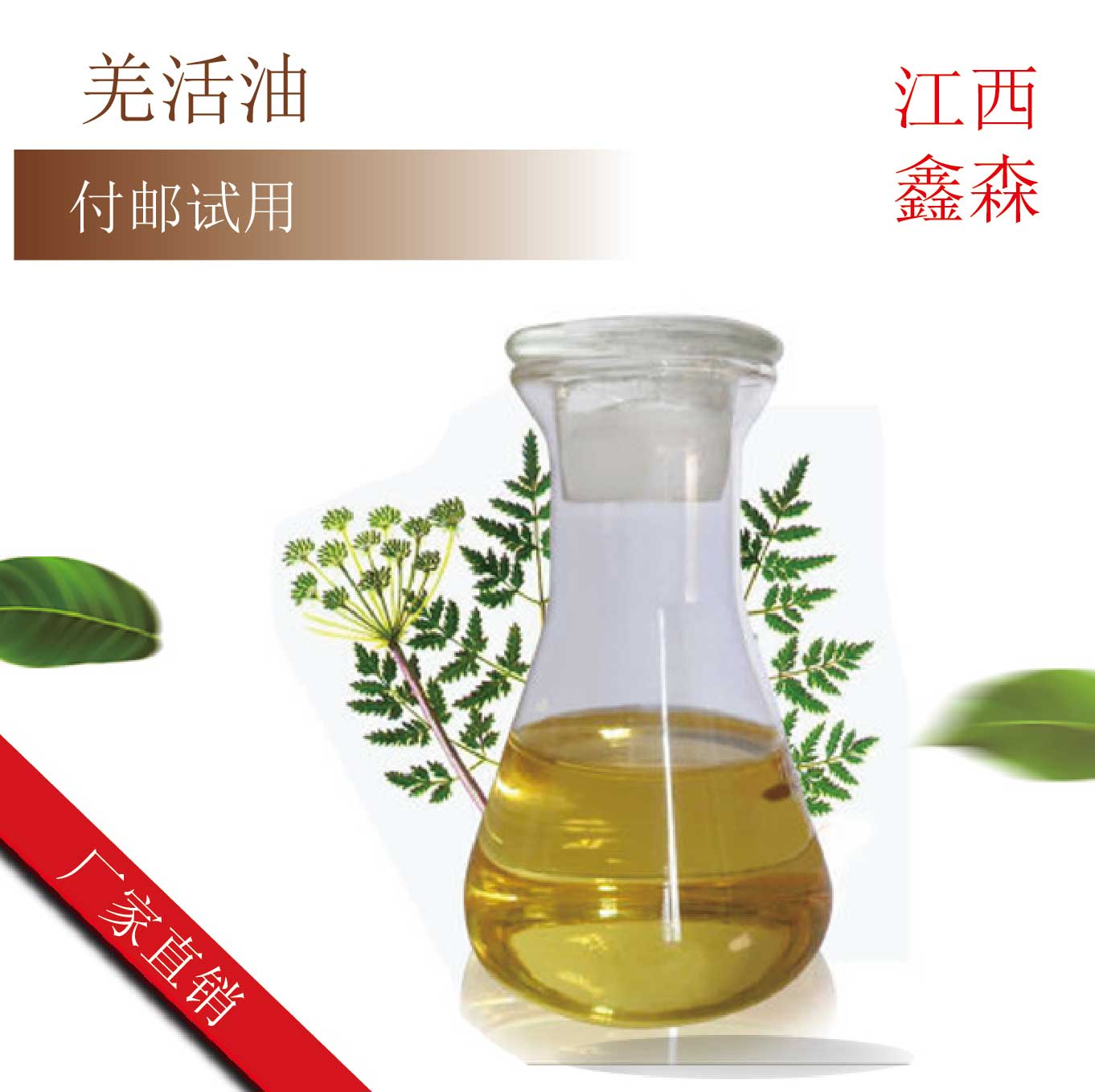 羌活油,NOTOPTERYGIUM OIL