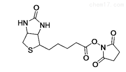 Biotin-NHS,生物素-琥珀酰亚胺,Biotin-NHS