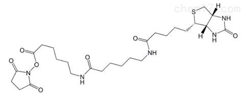 生物素酰氨基己酰-6-氨基己酸N-羟基琥珀酰亚胺酯,Biotin-LC-LC-NHS Ester