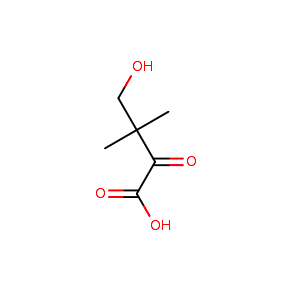 4-hydroxy-3,3-dimethyl-2-oxobutanoic acid