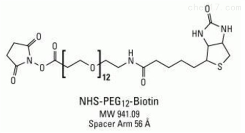 琥珀酰亚胺酯-十二聚乙二醇-生物素,NHS-PEO12-Biotin; NHS-dPEG12-Biotin