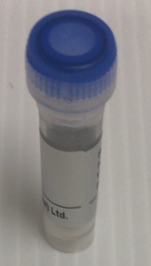 2-amino-2-(4-bromophenyl)propanoic acid