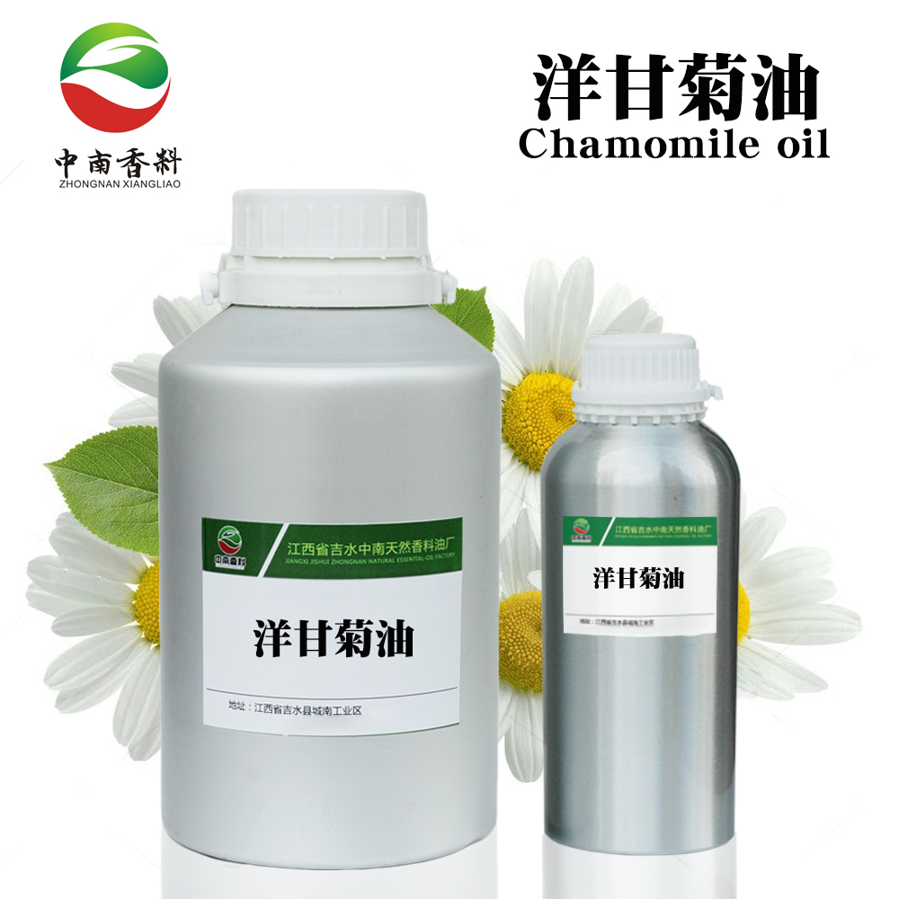 洋甘菊油,Chamomile oil