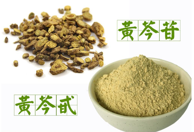 黃芩提取物,Baicalin extract