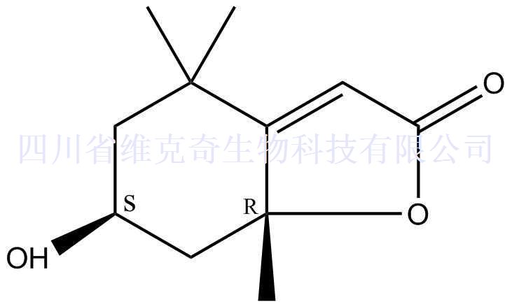 地芰普内酯,Loliolid