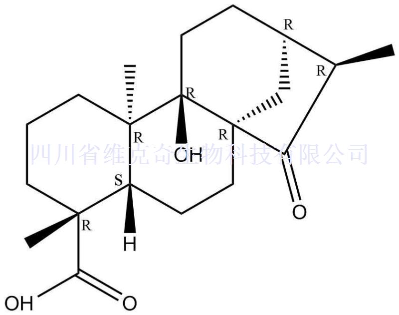 对映-9-羟基-15-氧代-19-异贝壳杉烷酸,ent-9-Hydroxy-15-oxo-19-kauranoic acid