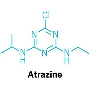 莠去津(阿特拉津),atrazine
