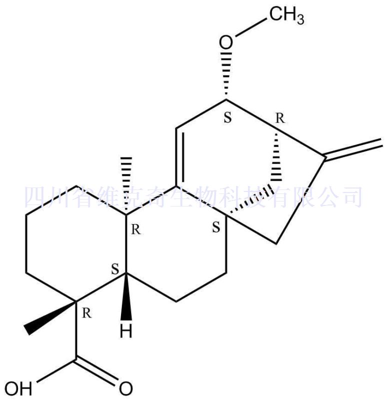 12alpha-甲氧基对映贝壳二烯酸,12alpha-Methoxygrandiflorenic acid