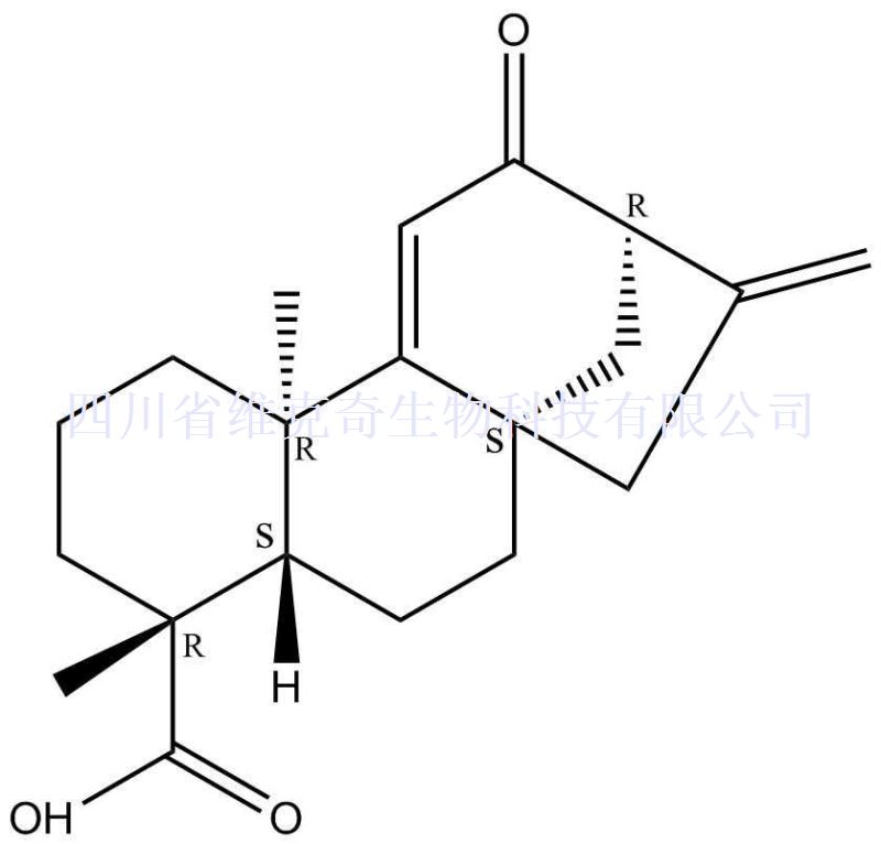 12-氧对映贝壳二烯酸,12-Oxograndiflorenic acid