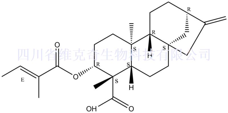 3 Beta-巴豆酰基氧基-等效-贝壳杉-16-烯酸,ent-3Beta-Tigloyloxykaur-16-en-19-oic acid