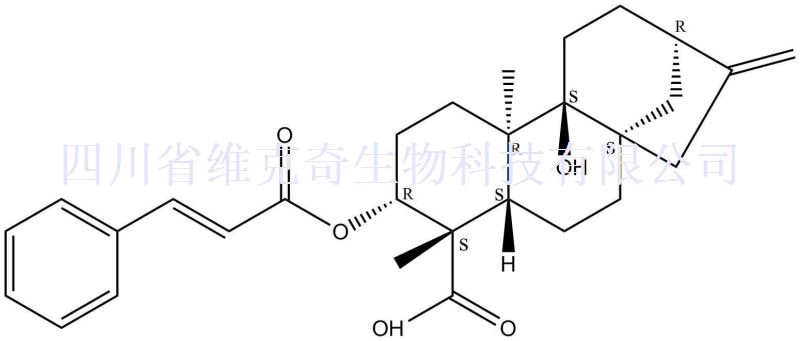 3alpha-肉桂酰氧基-9beta-羟基-对映-贝壳杉-16-烯-19-酸,3alpha-Cinnamoyloxypterokaurene L3