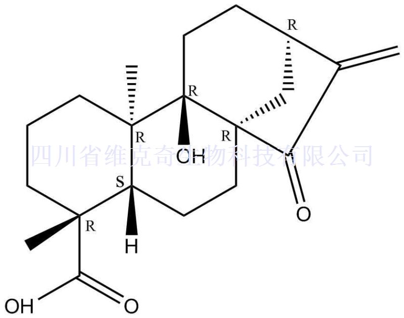 对映-9-羟基-15-氧代-16-贝壳杉烯-19-酸,ent-9-Hydroxy-15-oxo-16-kauren-19-oic acid