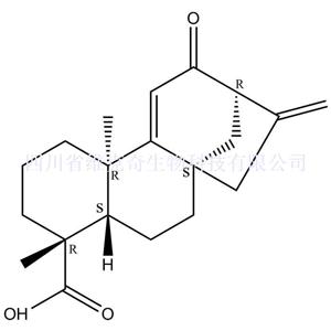 12-氧对映贝壳二烯酸,12-Oxograndiflorenic acid