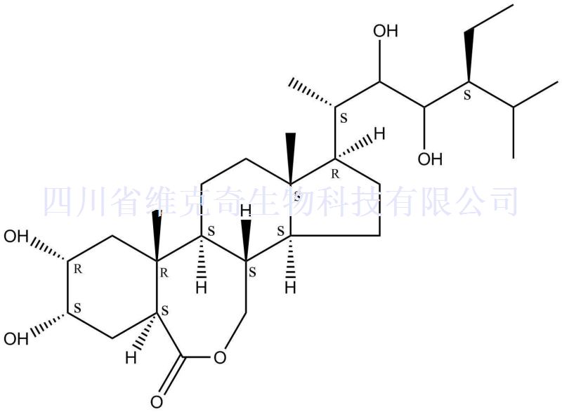 28-高油菜素内酯,28-Homobrassinolide